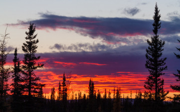 Red sunset near Fairbanks, Alaska