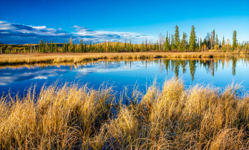 Serene atmosphere by a lake near Fairbanks