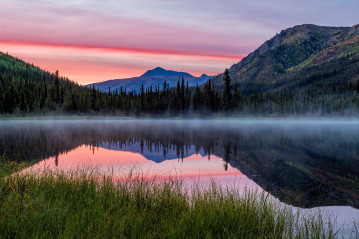 Foggy morning at Triple Lakes in Denali National Park, Alaska