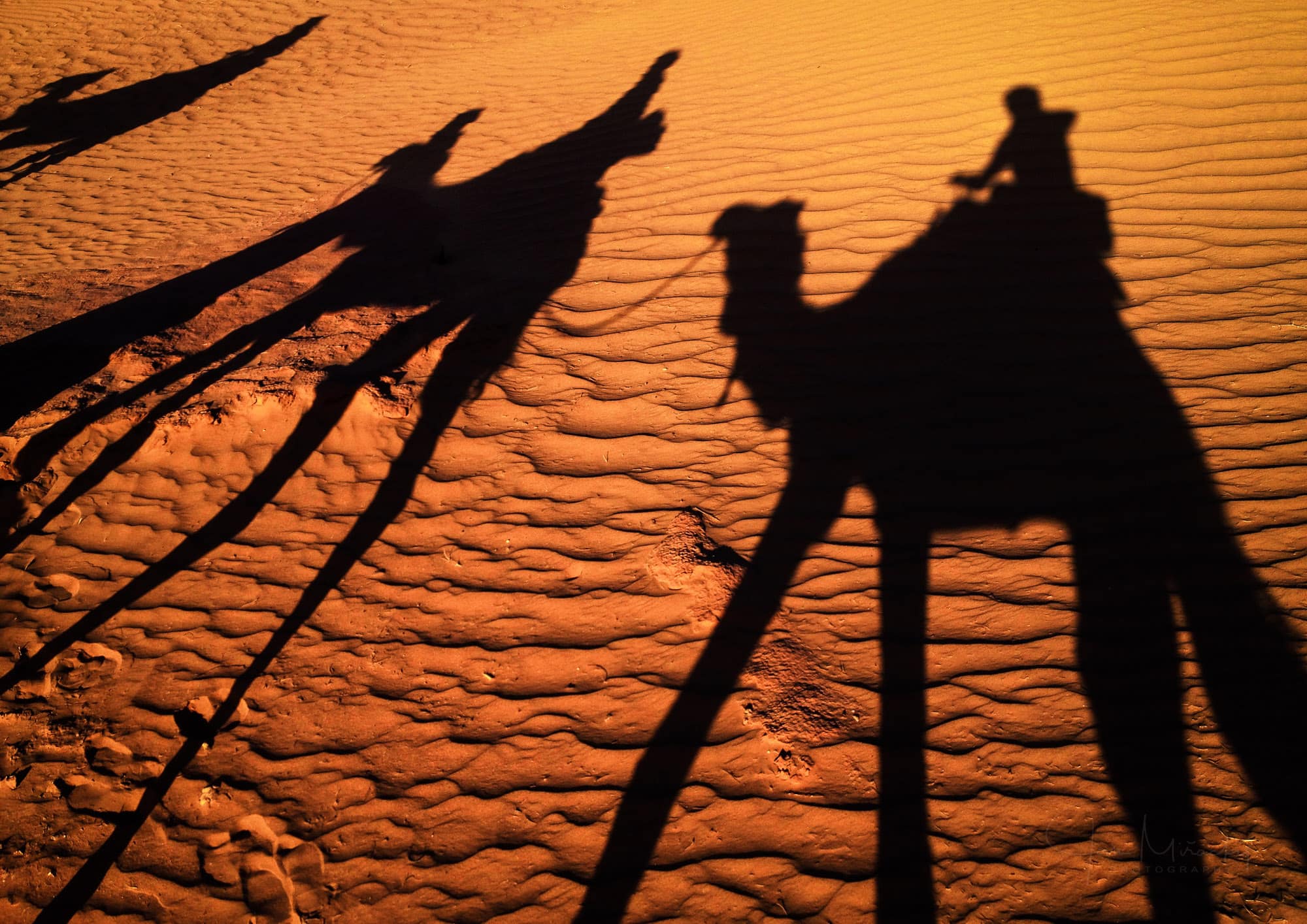 Shadow of camel caravana on Sahara desert