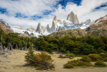 Mt. Fitz Roy with green trees close to Poincenot campground in summer on cloudy day