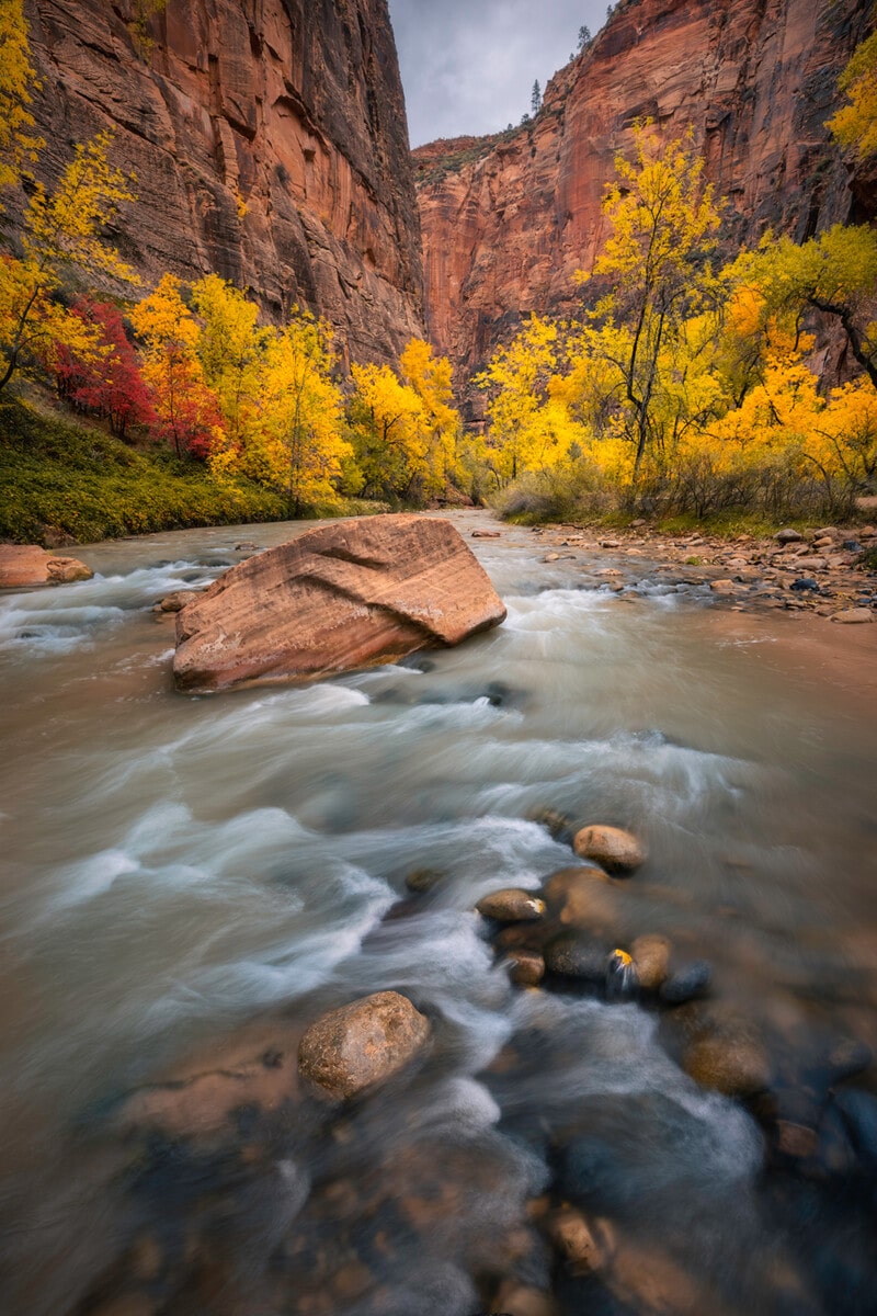 Virgin river in canyon in fall, Zion National Park